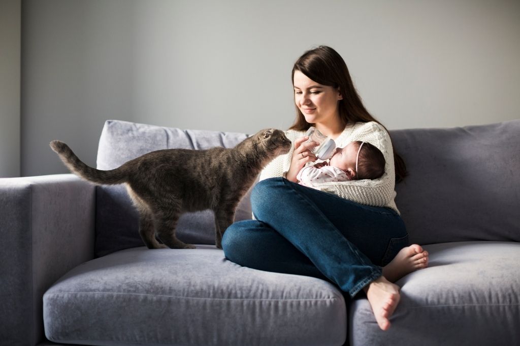девушка на диване с котом и ребенком