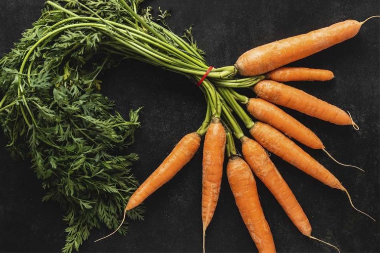 Как обрезать морковь для хранения на зиму и не потерять урожай