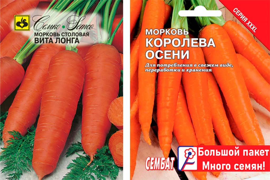 пакетики с семенами моркови